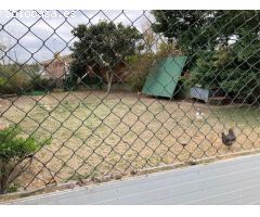 Parcela en Venta en Caldes de Malavella, Girona