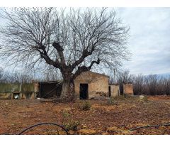Finca rustica en Venta en La Selva del Camp, Tarragona