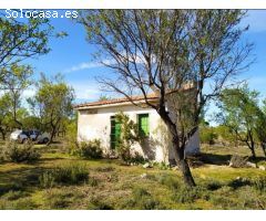 Finca rustica en Venta en Valdilecha, Madrid