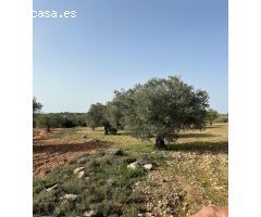 Finca rustica en Venta en Morata de Tajuña, Madrid