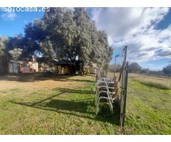 Chalet en Venta en Morata de Tajuña, Madrid