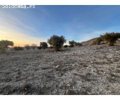 Finca rustica en Venta en Carabaña, Madrid