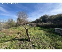 Finca rustica en Venta en Valdilecha, Madrid