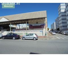 GRAN LOCAL COMERCIAL ZONA ZOOLOGICO