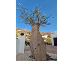 Villa de Lujo en Venta en Mojácar, Almería
