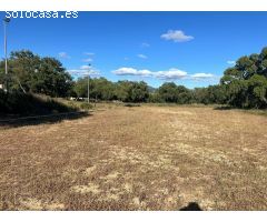 Espectacular finca de 76.329 m2 en Loma Maina, Alcalá de los Gazules