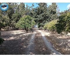 Chalet en el Marquesado con parcela de 4.441m2