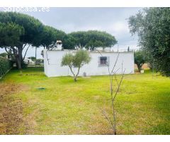 CASA DE CAMPO EN GRAN PARCELA DE 2.500 M2 CERCA DEL NOVO SANCTI PETRI