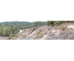 Finca rustica en Venta en Parcent, Alicante