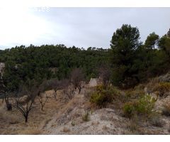 Finca rustica en Venta en Torrosella, Alicante