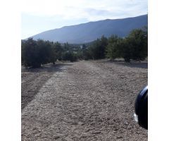 FINCAS DE OLIVARES Y GANADOS EN JAEN