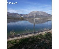 FINCAS DE OLIVARES Y GANADOS EN JAEN