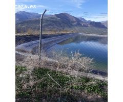 FINCAS DE OLIVARES Y GANADOS EN JAEN