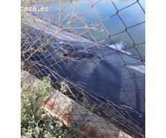 FINCAS DE OLIVARES Y GANADOS EN JAEN
