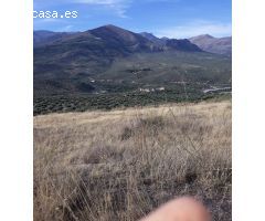 FINCAS DE OLIVARES Y GANADOS EN JAEN