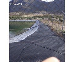 FINCAS DE OLIVARES Y GANADOS EN JAEN