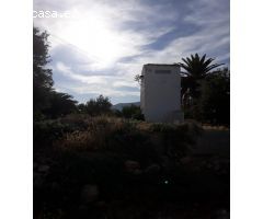 FINCAS DE OLIVARES Y GANADOS EN JAEN