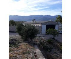 FINCAS DE OLIVARES Y GANADOS EN JAEN