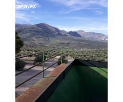 FINCAS DE OLIVARES Y GANADOS EN JAEN