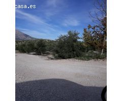 FINCAS DE OLIVARES Y GANADOS EN JAEN