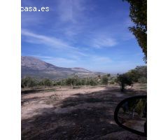 FINCAS DE OLIVARES Y GANADOS EN JAEN