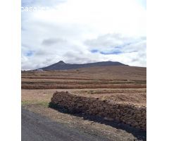 Solar urbano en Venta en Tindaya, Las Palmas
