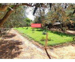 Se Vende Chalet rustico en Chiva