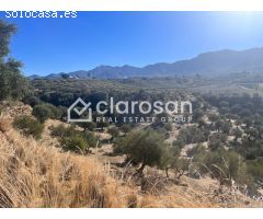 Parcela en Venta en Alhaurín el Grande, Málaga