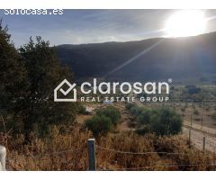 Finca rustica en Venta en Foronda, Málaga
