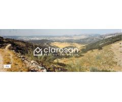 Finca rustica en Venta en Foronda, Málaga