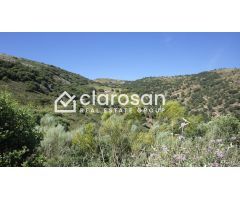 Finca rustica en Venta en Foronda, Málaga