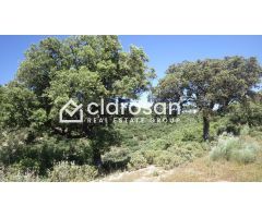 Finca rustica en Venta en Foronda, Málaga