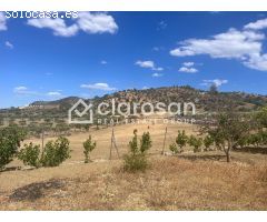 Finca rustica en Venta en Coín, Málaga