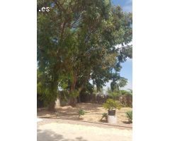 Casa de Pueblo en Venta en Montesinos, Los, Alicante