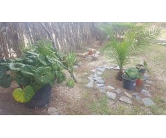 Casa de Pueblo en Venta en Montesinos, Los, Alicante