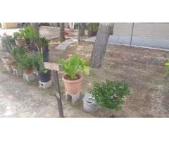 Casa de Pueblo en Venta en Montesinos, Los, Alicante