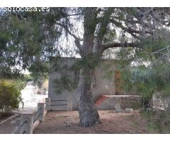 Finca rustica en Venta en Orihuela, Alicante