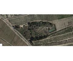 Finca rustica en Venta en Orihuela, Alicante