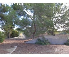 Finca rustica en Venta en Orihuela, Alicante