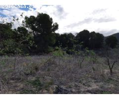 Finca rustica en Venta en Orihuela, Alicante