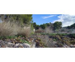 Finca rustica en Venta en Orihuela, Alicante