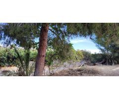 Finca rustica en Venta en Orihuela, Alicante