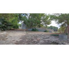 Finca rustica en Venta en Orihuela, Alicante
