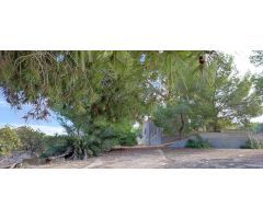 Finca rustica en Venta en Orihuela, Alicante