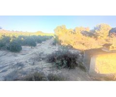 Finca rustica en Venta en Orihuela, Alicante