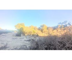 Finca rustica en Venta en Orihuela, Alicante