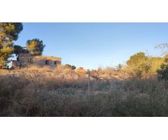 Finca rustica en Venta en Orihuela, Alicante