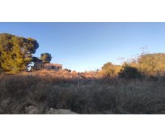Finca rustica en Venta en Orihuela, Alicante