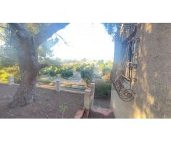 Finca rustica en Venta en Orihuela, Alicante