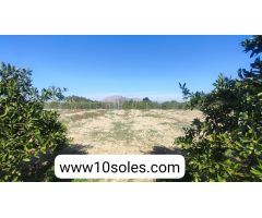 Finca rustica en Venta en Jacarilla, Alicante